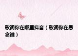 歌词你在哪里抖音（歌词你在思念谁）