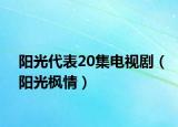 阳光代表20集电视剧（阳光枫情）