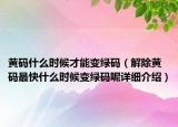 黄码什么时候才能变绿码（解除黄码最快什么时候变绿码呢详细介绍）