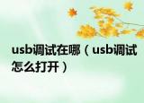 usb调试在哪（usb调试怎么打开）