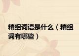 精组词语是什么（精组词有哪些）