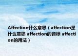 Affection什么意思（affection是什么意思 affection的音标 affection的用法）