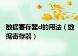 数据寄存器d的用法（数据寄存器）