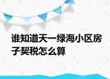 谁知道天一绿海小区房子契税怎么算