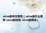 valve的中文意思（valve是什么意思 valve的音标 valve的用法）