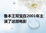 鲁本王双宝在2001年主演了这部电影