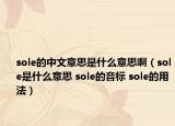 sole的中文意思是什么意思啊（sole是什么意思 sole的音标 sole的用法）