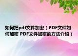 如何把pdf文件加密（PDF文件如何加密 PDF文件加密的方法介绍）