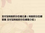 支付宝蚂蚁积分在哪儿看（蚂蚁积分在哪里看 支付宝蚂蚁积分在哪里介绍）