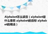 Alphabet怎么读音（alphabet是什么意思 alphabet的音标 alphabet的用法）