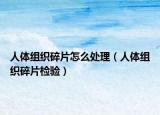 人体组织碎片怎么处理（人体组织碎片检验）