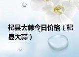 杞县大蒜今日价格（杞县大蒜）