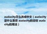 audacity怎么改成中文（audacity是什么意思 audacity的音标 audacity的用法）