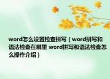 word怎么设置检查拼写（word拼写和语法检查在哪里 word拼写和语法检查怎么操作介绍）