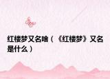红楼梦又名啥（《红楼梦》又名是什么）
