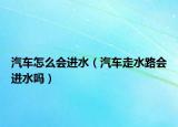汽车怎么会进水（汽车走水路会进水吗）