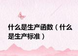 什么是生产函数（什么是生产标准）