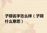 子硕名字怎么样（子硕什么意思）