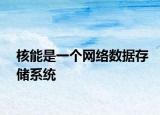 核能是一个网络数据存储系统