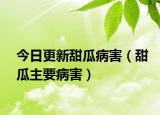 今日更新甜瓜病害（甜瓜主要病害）