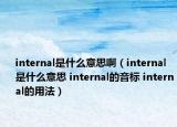 internal是什么意思啊（internal是什么意思 internal的音标 internal的用法）