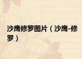 沙鹰修罗图片（沙鹰-修罗）