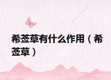 希莶草有什么作用（希莶草）