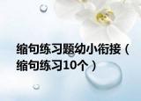 缩句练习题幼小衔接（缩句练习10个）