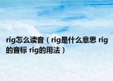 rig怎么读音（rig是什么意思 rig的音标 rig的用法）