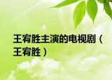 王宥胜主演的电视剧（王宥胜）