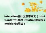 interation是什么意思中文（intuition是什么意思 intuition的音标 intuition的用法）