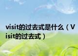 visit的过去式是什么（Visit的过去式）