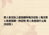 美人鱼实际上是指哪种海洋动物（海洋美人鱼是指哪一种动物 美人鱼是指什么海洋动物）