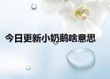 今日更新小奶鹅啥意思