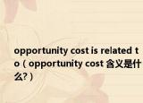 opportunity cost is related to（opportunity cost 含义是什么?）