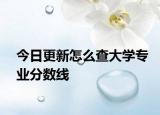 今日更新怎么查大学专业分数线