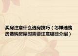 买房注意什么选房技巧（怎样选购房选购房屋时需要注意哪些介绍）