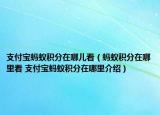 支付宝蚂蚁积分在哪儿看（蚂蚁积分在哪里看 支付宝蚂蚁积分在哪里介绍）