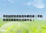 手机如何快速查询车辆违章（手机快速违章查询方法是什么）