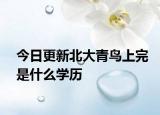 今日更新北大青鸟上完是什么学历