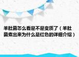 羊肚菌怎么看是不是变质了（羊肚菌煮出来为什么是红色的详细介绍）