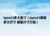 iqooz1多大英寸（iqooz1屏幕多大尺寸 屏幕尺寸介绍）