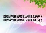 自然吸气和涡轮增压有什么关系（自然吸气和涡轮增压有什么区别）