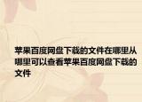 苹果百度网盘下载的文件在哪里从哪里可以查看苹果百度网盘下载的文件