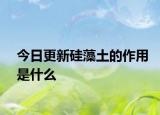 今日更新硅藻土的作用是什么