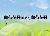 白芍花开mv（白芍花开）