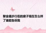 黎金福步行街的房子现在怎么样了谁能告诉我