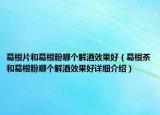 葛根片和葛根粉哪个解酒效果好（葛根茶和葛根粉哪个解酒效果好详细介绍）