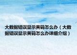 大数据错误显示黄码怎么办（大数据错误显示黄码怎么办详细介绍）