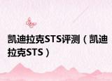凯迪拉克STS评测（凯迪拉克STS）